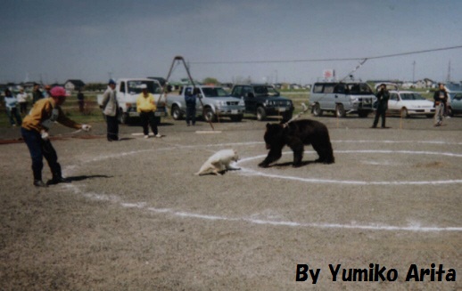 Hokkaido-Inu beer hunting contest