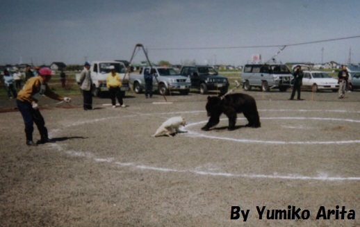 北海道犬　獣猟競技会